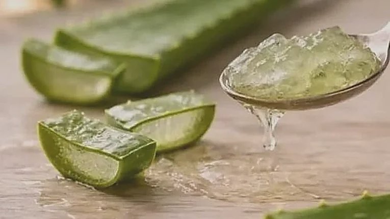 Cut sections of aloe leaf beside a spoonful of the clear gel.